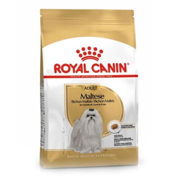 Royal Canin (Роял Канин) Maltese - Сухой корм для мальтийских болонок