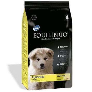Equilibrio (Эквилибрио) Dog Puppies Medium Breeds Сухой суперпремиум корм для щенков средних пород