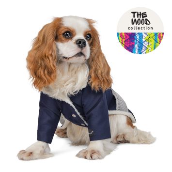 Pet Fashion (Пет Фешн) The Mood Sirius - Жакет для собак