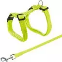 Ошейники,поводки,шлеи