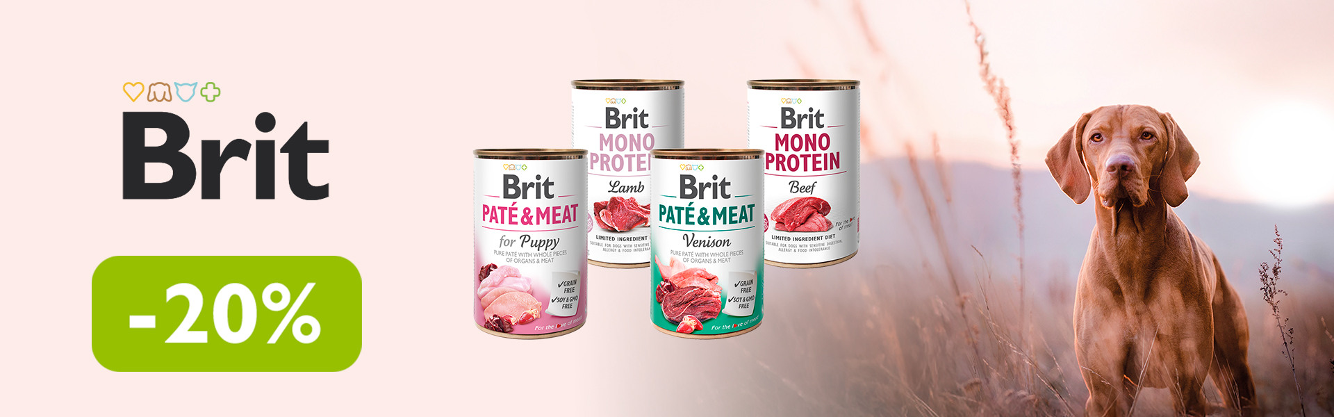 102: БК конс соб ДО 31.03