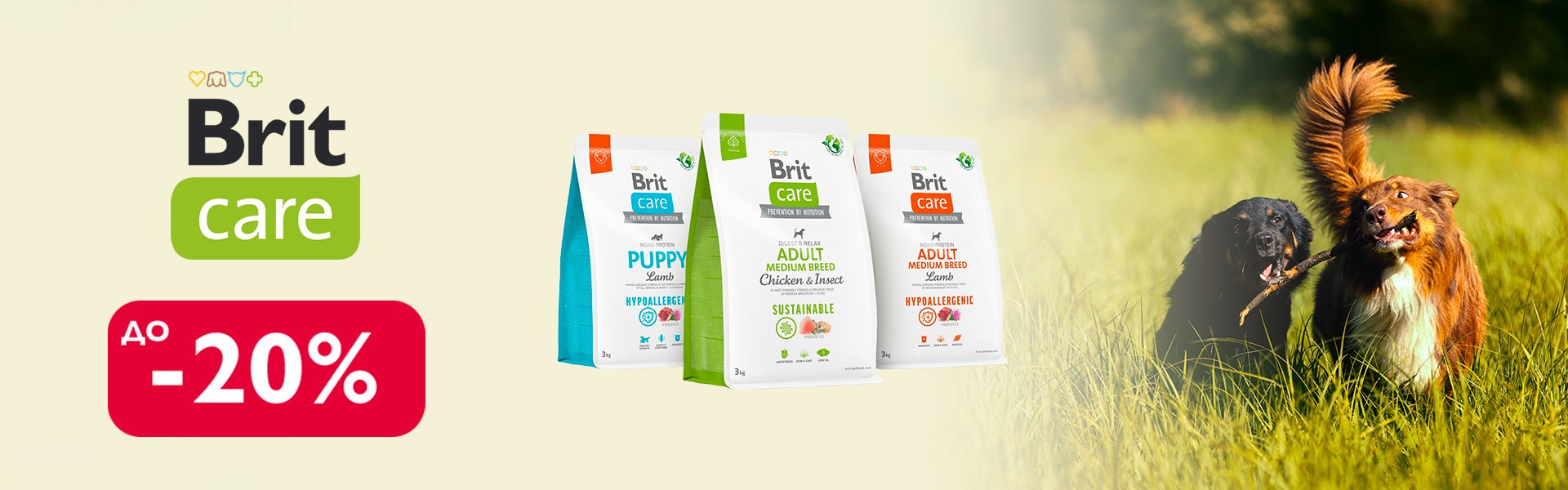 091:БК собака сух ДО 31.03