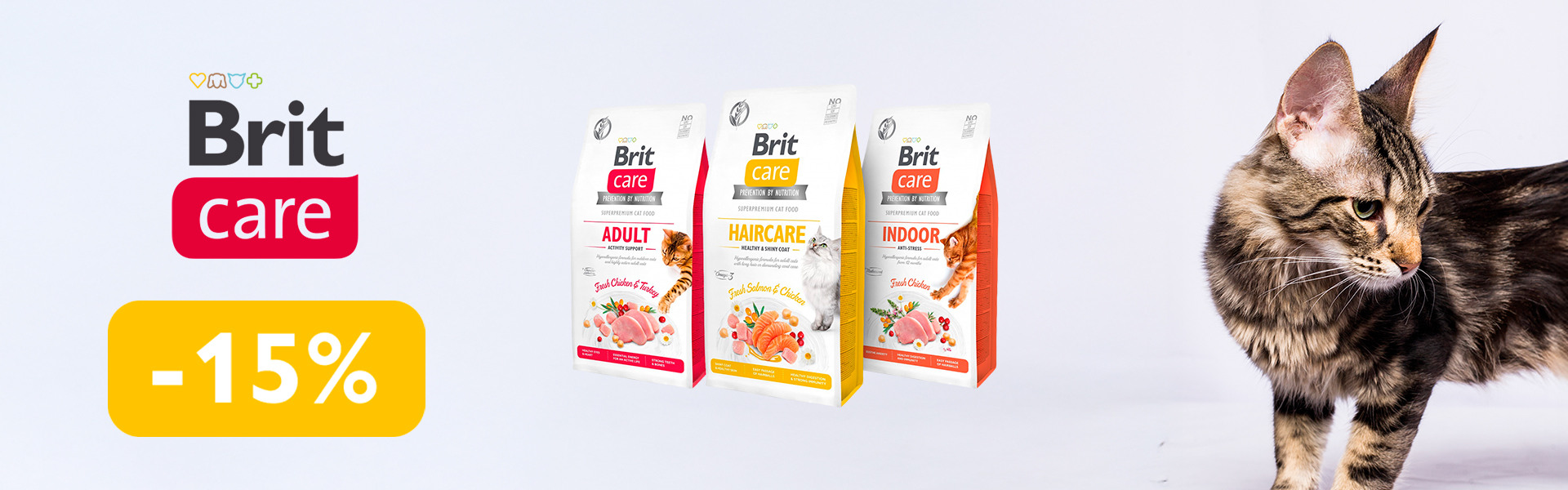 091: БК КОТ сухой ДО 31.03