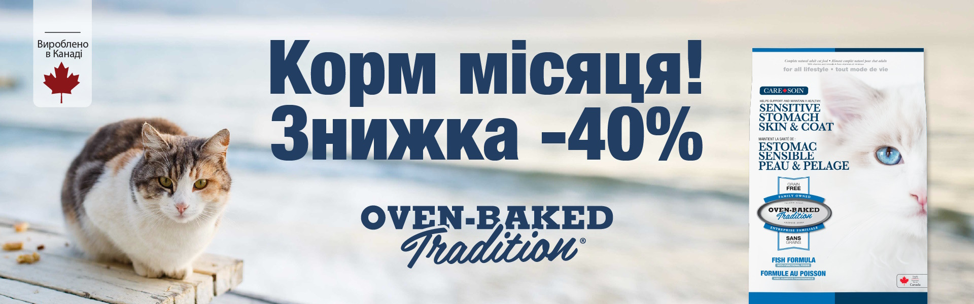 105: Овен Бекет кот ДО 31.07