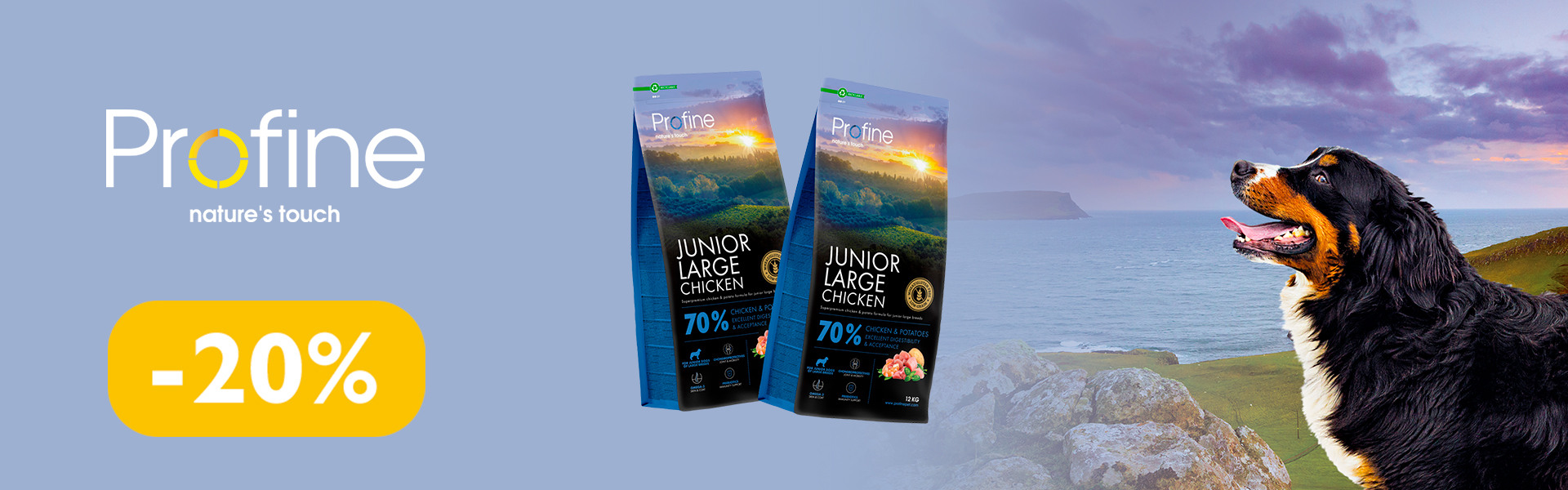 095: профайн сух соб ДО 31.03