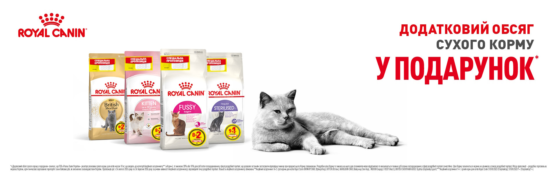 00000000000001: РК кот 8+2