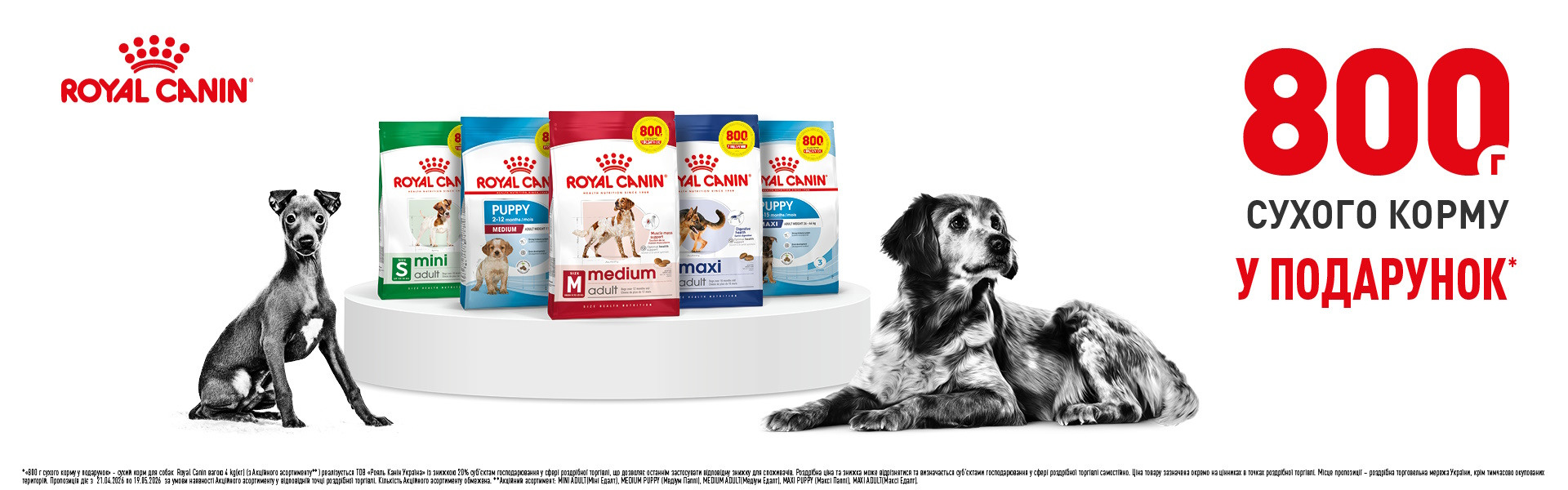 0000000000000001: РК PROMO_DOG DRY 3200kg+800kg