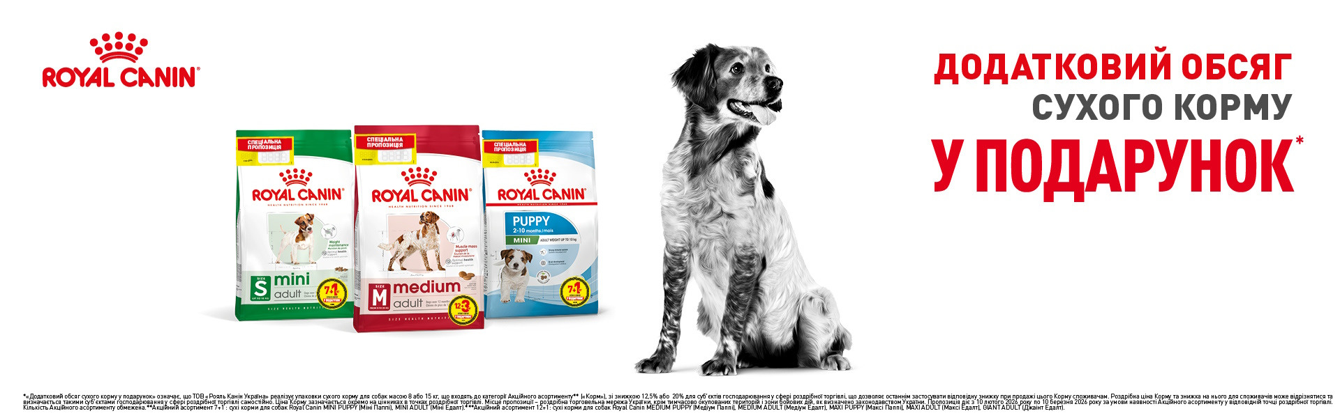 00000000000001: РК собака 12+ 7+