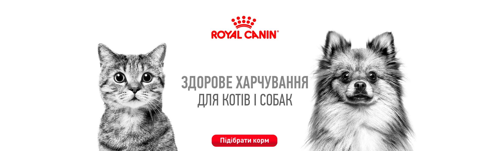 0001:Royal Canin имиджевый баннер