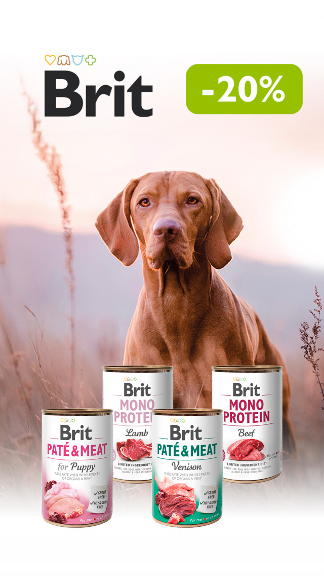 102: БК конс соб ДО 31.03