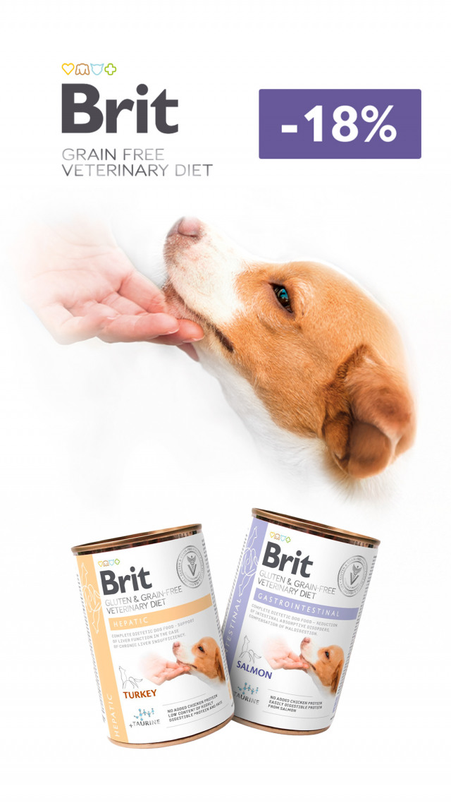 090: БК леч конс соб ДО 31.06