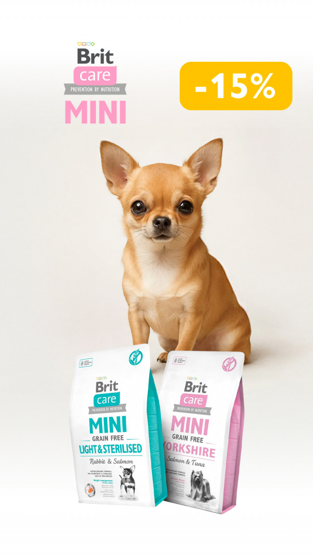 091: БК мин соб ДО 31.03