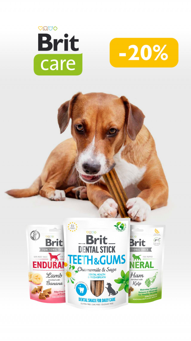 102: БК смакол соб ДО 31.03