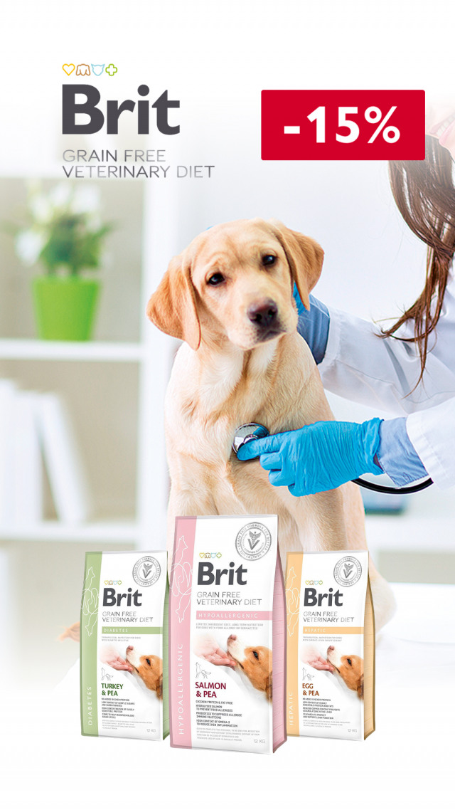 090: БК соб леч сух ДО 31.03