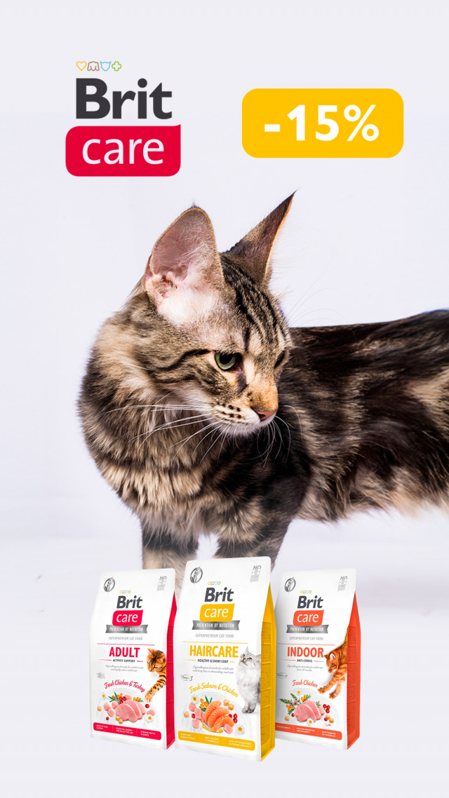 091: БК КОТ сухой ДО 31.03