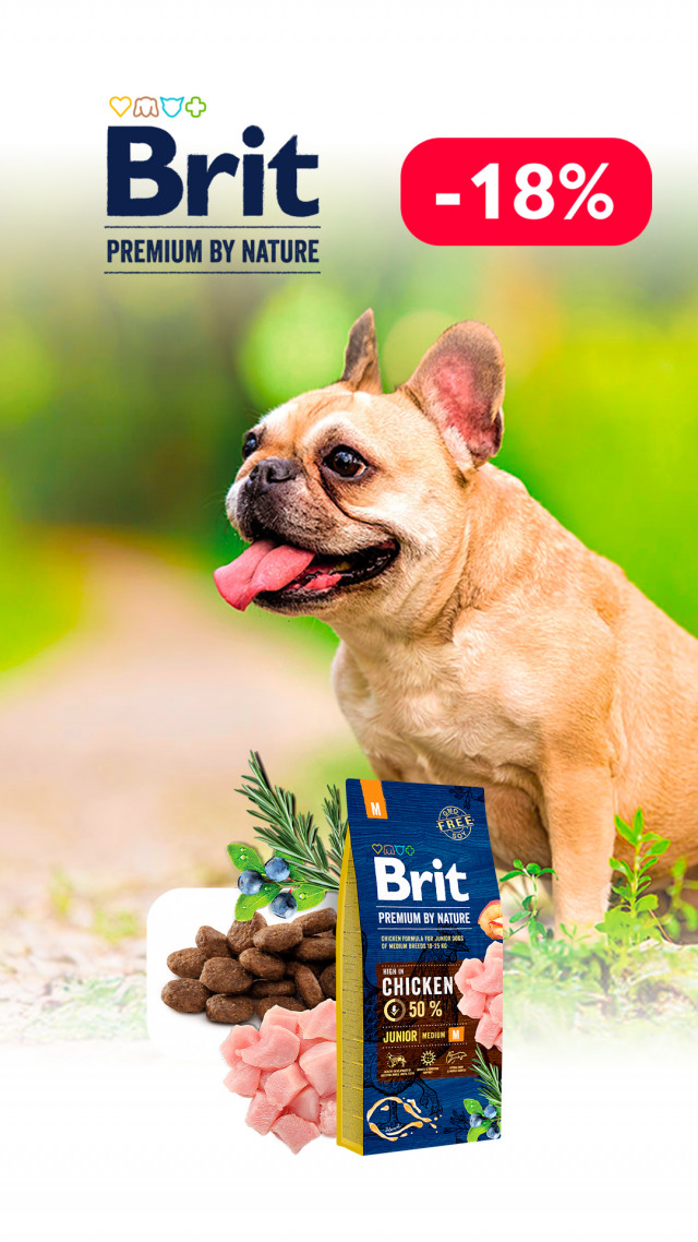 095: БП сух собака ДО 31.03