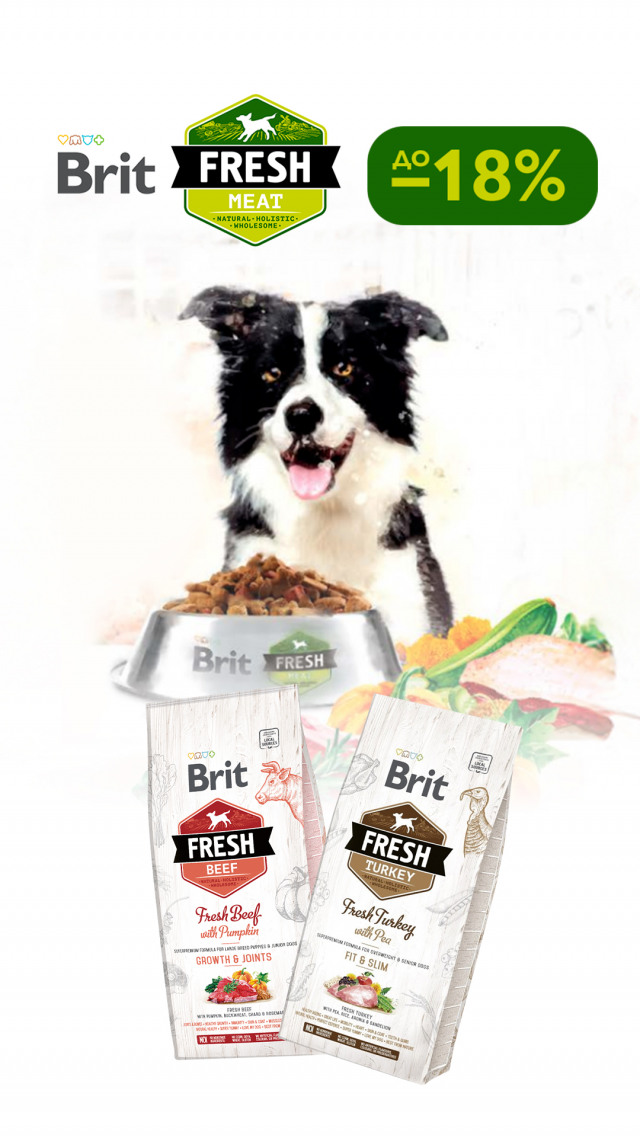 095: Брит Фреш сух соб ДО 31.03