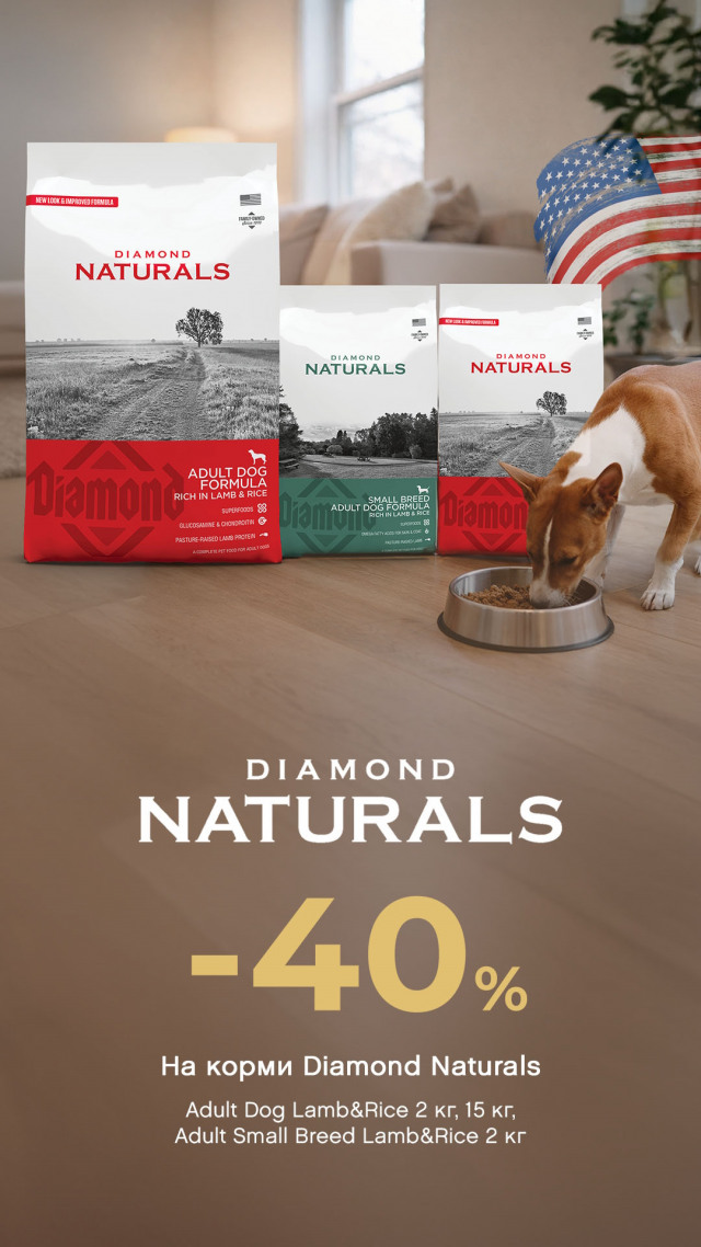 104: Даймонд ДО 31.06