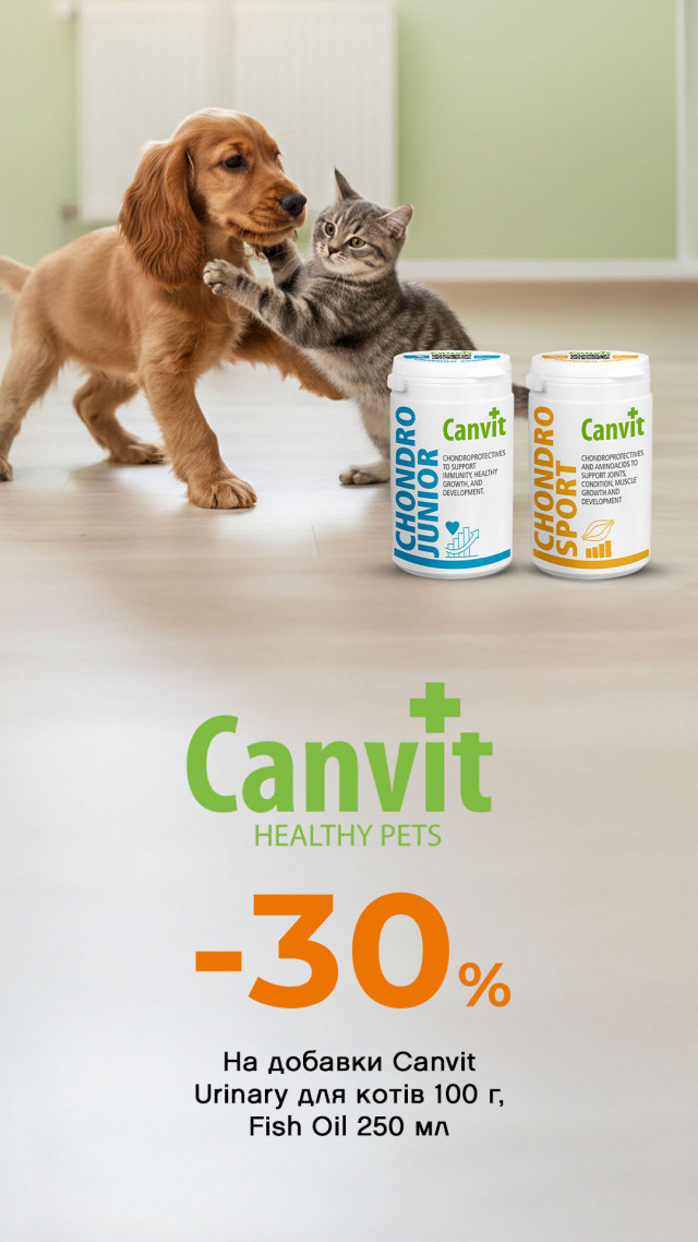 109: Канвит -30 ДО 31.03