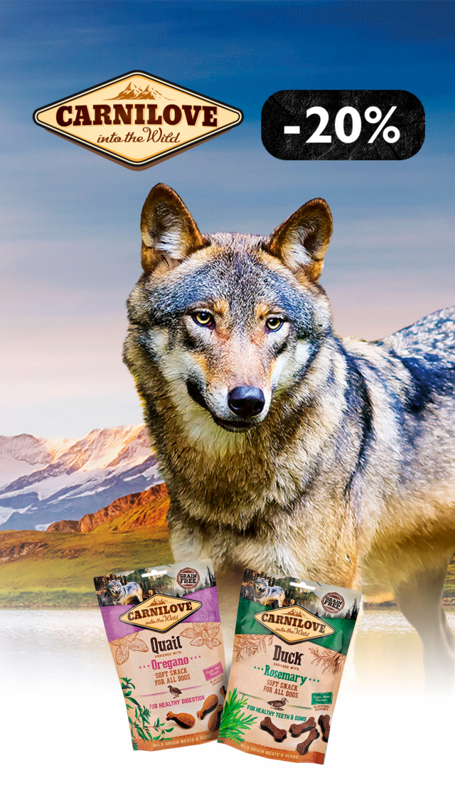 102: карнилав смаколик соб До 31.06