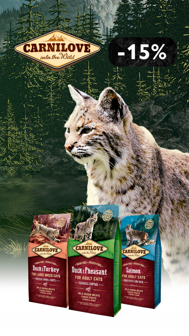 097: карнилав сух кот ДО 31.03