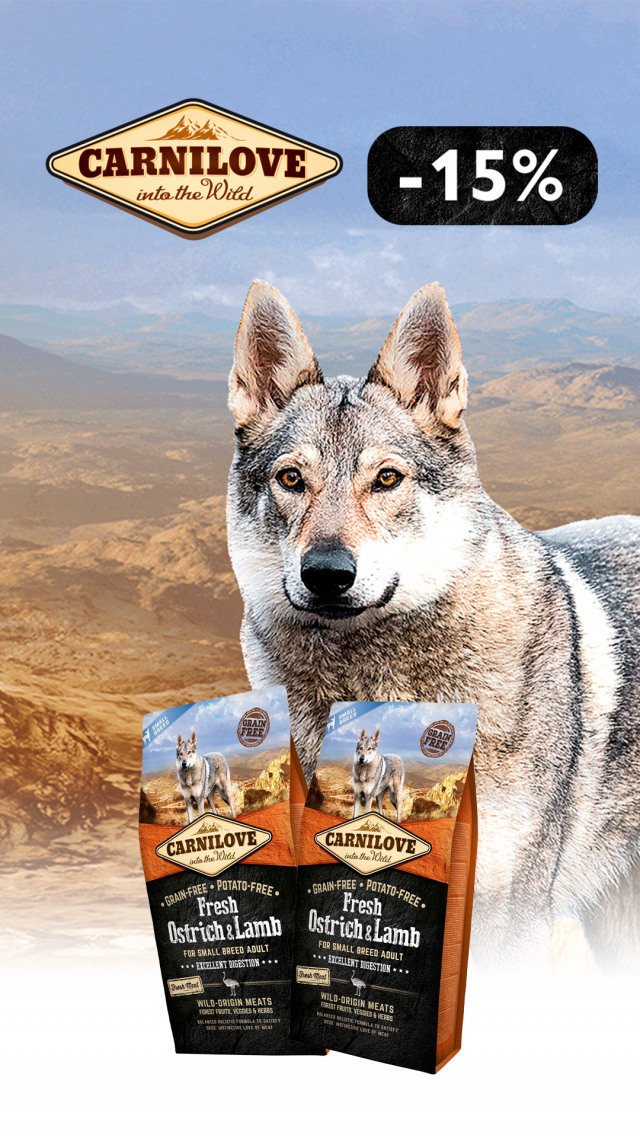 096:  карнилав сух соб ДО 31.03