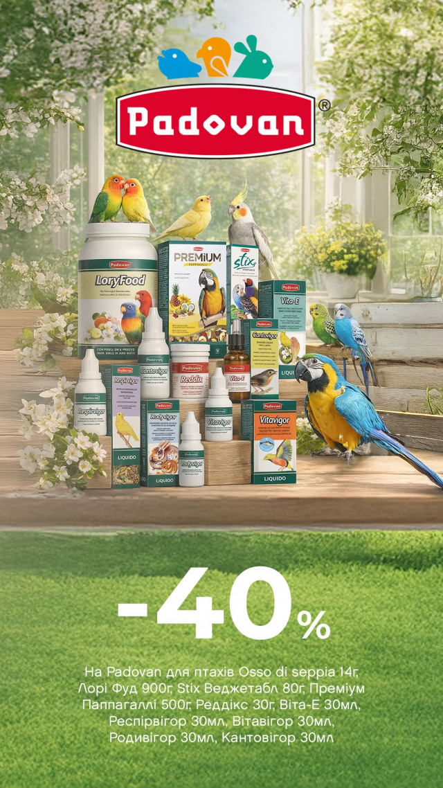 109: Падован ДО 31.03