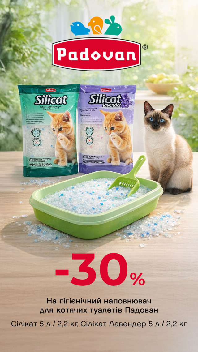 110:падаван напол сил ДО 31.03