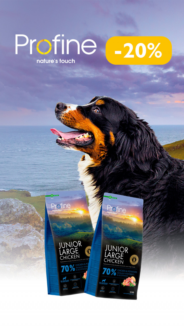 095: профайн сух соб ДО 31.03