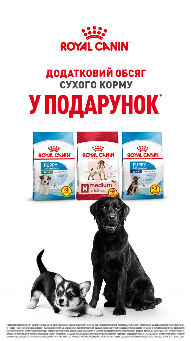 00000000000000001: РК1.6 + 400