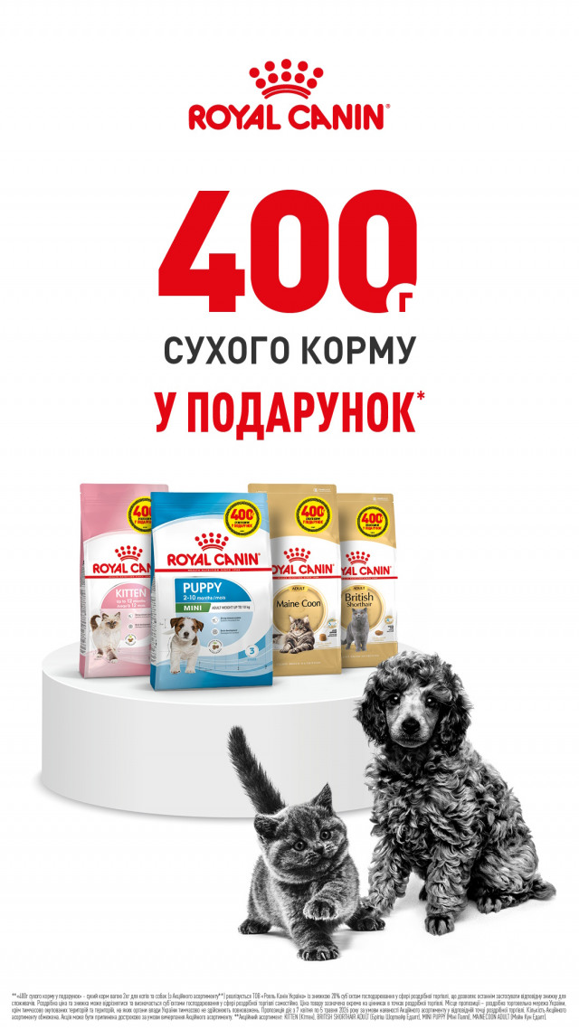 00000000000000001: РК1.6 + 400