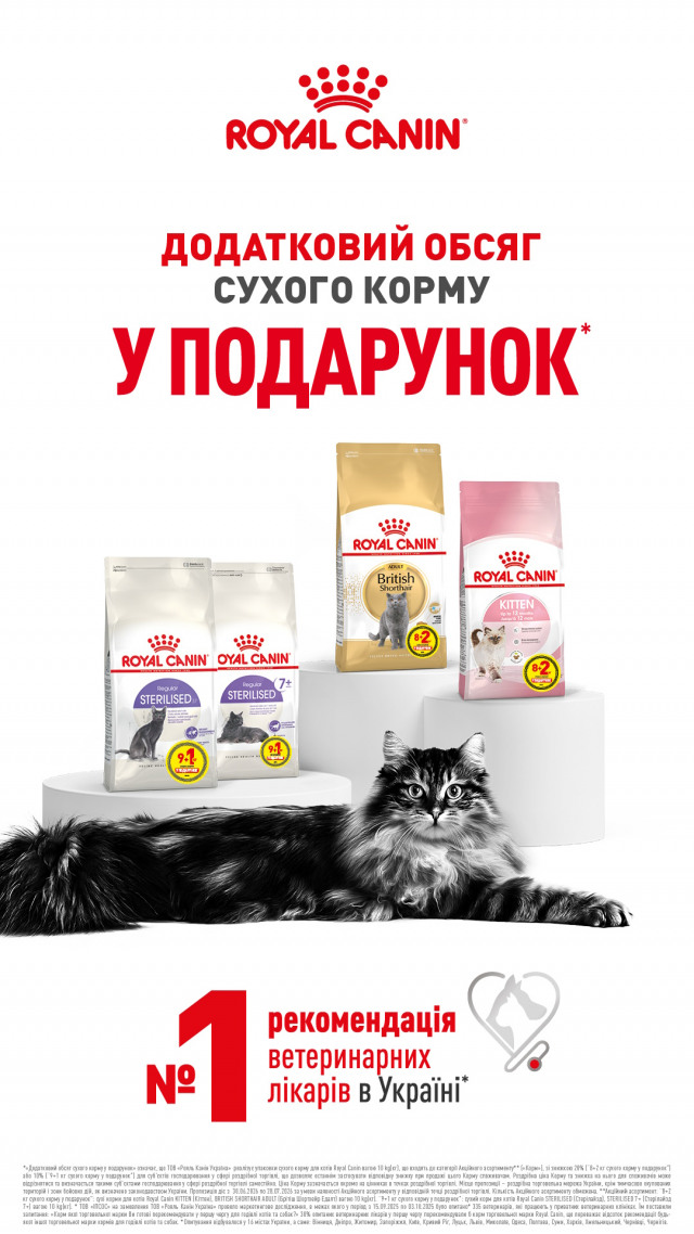 00000000000001: РК кот 8+2