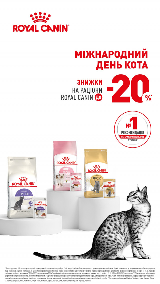 00000000000000001: РК День Кота 26