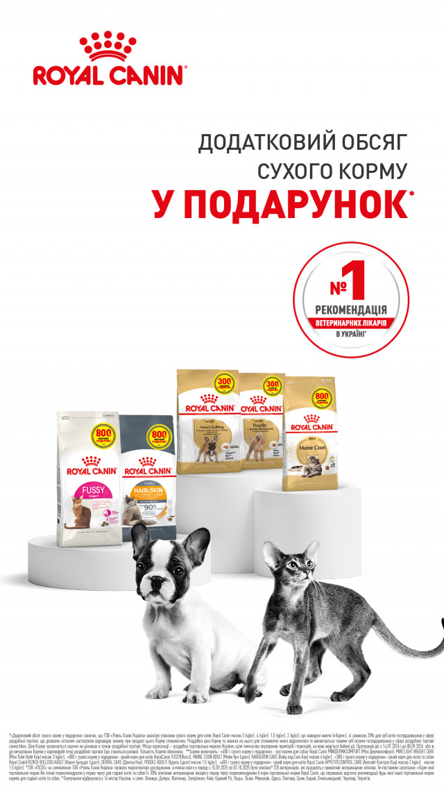 0000000000000001: РК PROMO_DOG DRY 3200kg+800kg