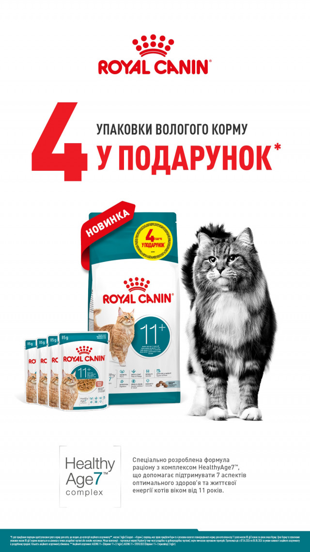 00000000000001: РК егеинг