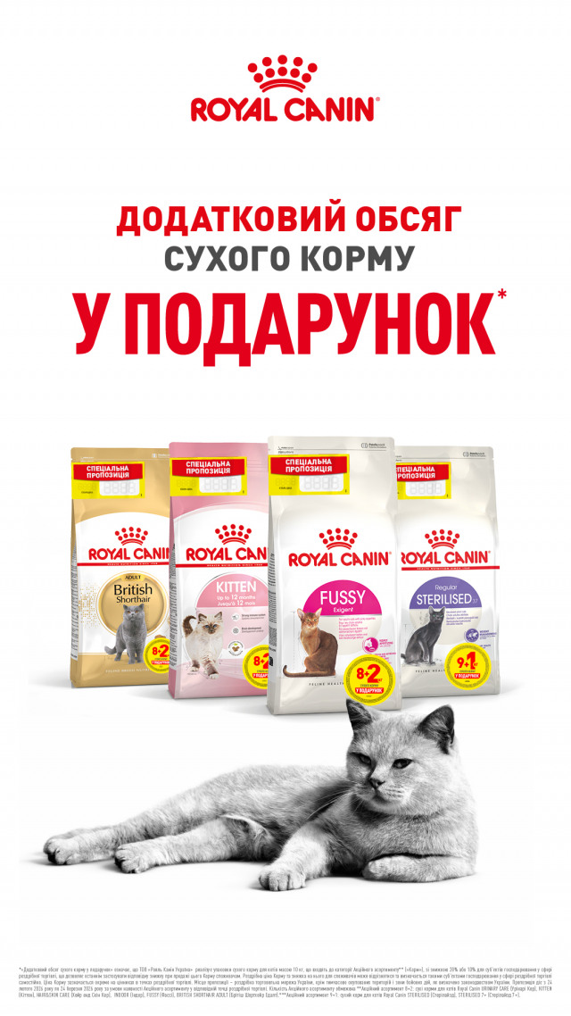 00000000000001: РК кот 8+2