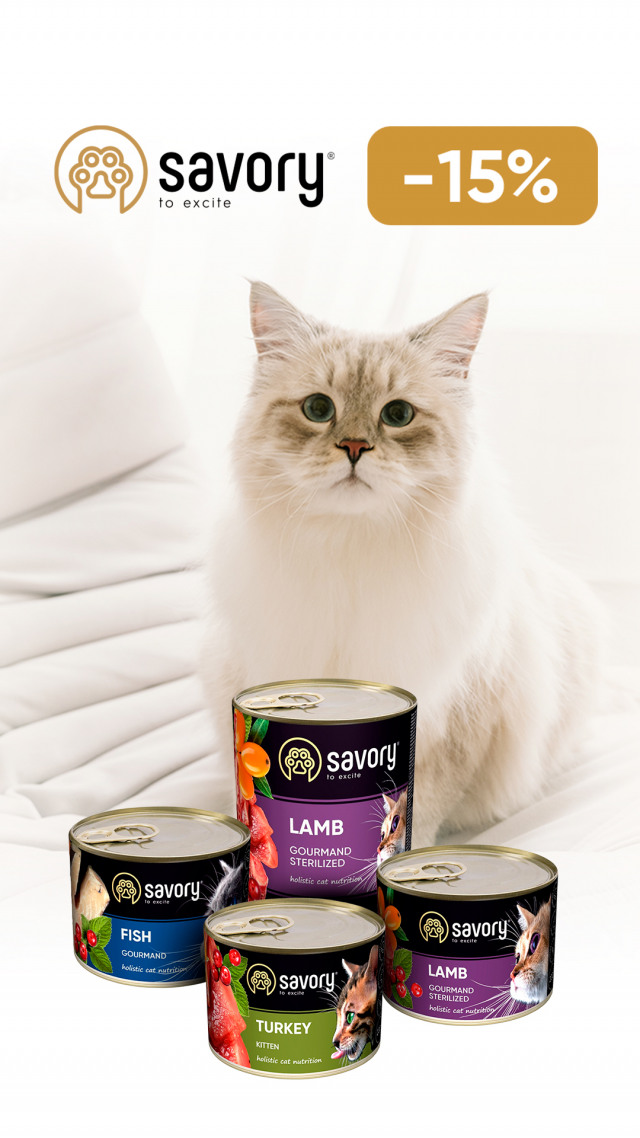 095: сейвори кон кот ДО 31.03