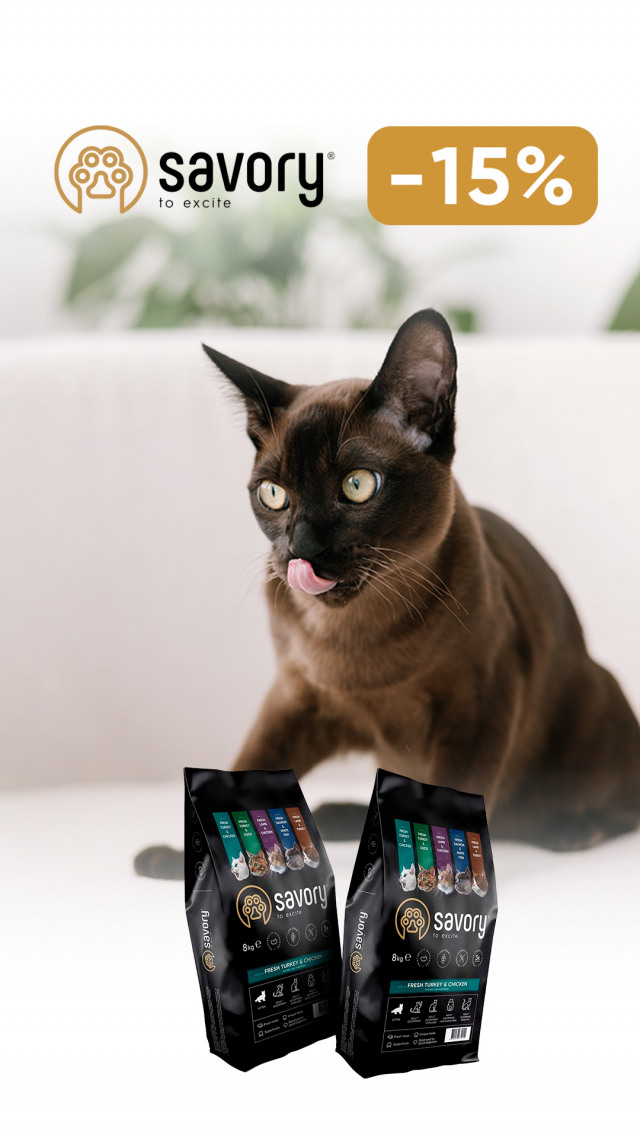 093: сейвори сух кот ДО 31.03